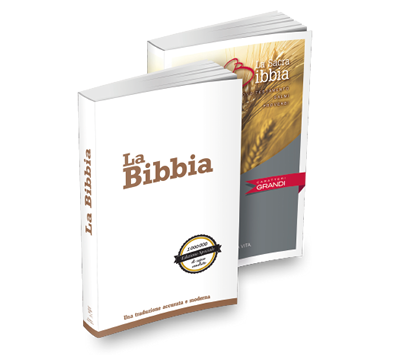 bibbie fondo trasp bibbie per evangelizzazione
